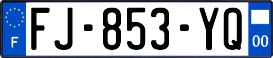 FJ-853-YQ