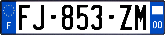 FJ-853-ZM