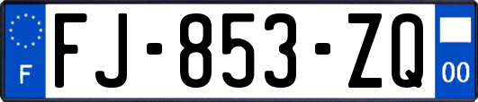 FJ-853-ZQ