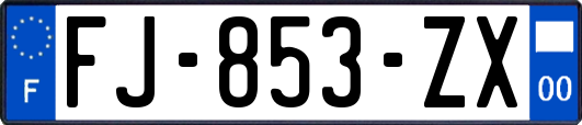 FJ-853-ZX