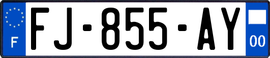 FJ-855-AY