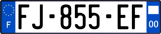 FJ-855-EF
