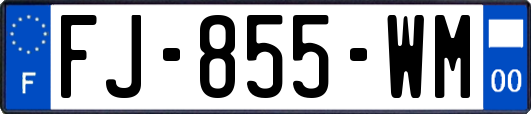 FJ-855-WM