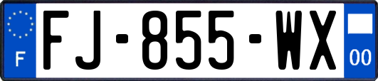 FJ-855-WX