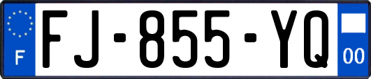 FJ-855-YQ