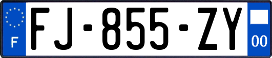 FJ-855-ZY