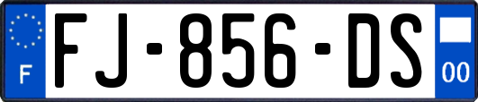 FJ-856-DS