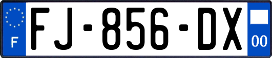 FJ-856-DX