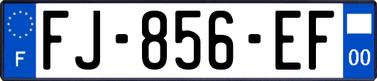 FJ-856-EF