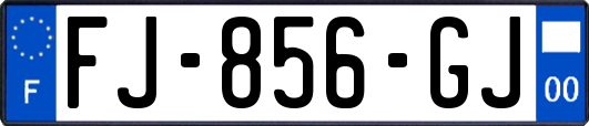 FJ-856-GJ