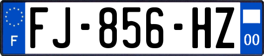 FJ-856-HZ