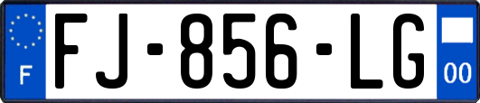 FJ-856-LG