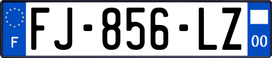 FJ-856-LZ