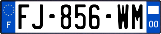 FJ-856-WM