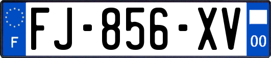 FJ-856-XV