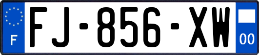 FJ-856-XW