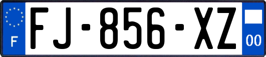 FJ-856-XZ