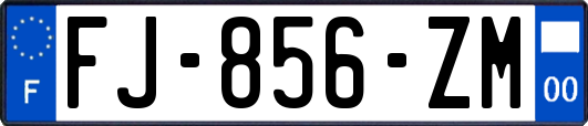 FJ-856-ZM