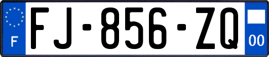 FJ-856-ZQ