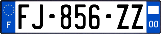 FJ-856-ZZ