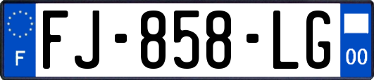 FJ-858-LG