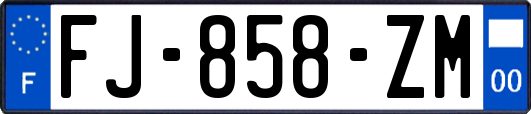 FJ-858-ZM