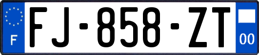 FJ-858-ZT