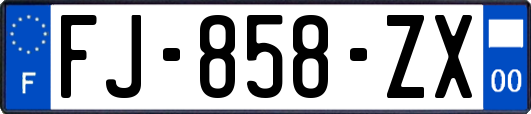 FJ-858-ZX