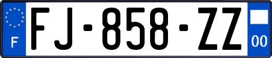 FJ-858-ZZ