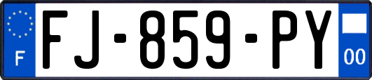 FJ-859-PY
