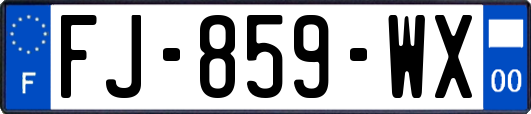 FJ-859-WX