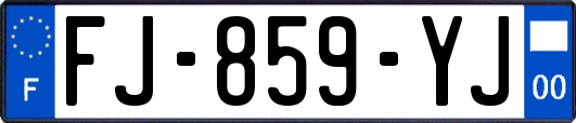 FJ-859-YJ