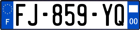 FJ-859-YQ