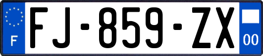 FJ-859-ZX