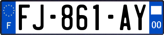 FJ-861-AY