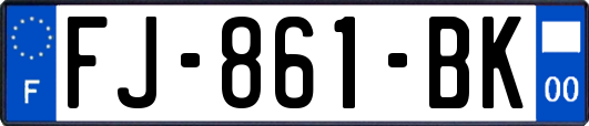 FJ-861-BK