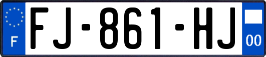 FJ-861-HJ