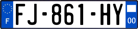 FJ-861-HY