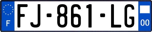FJ-861-LG