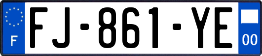 FJ-861-YE