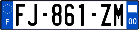 FJ-861-ZM