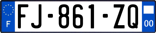 FJ-861-ZQ