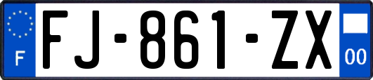 FJ-861-ZX