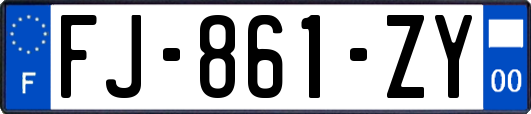 FJ-861-ZY