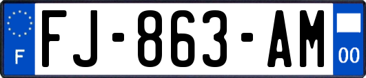 FJ-863-AM