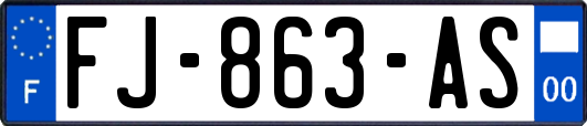 FJ-863-AS