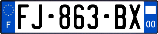 FJ-863-BX