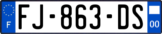 FJ-863-DS
