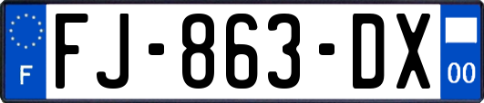 FJ-863-DX