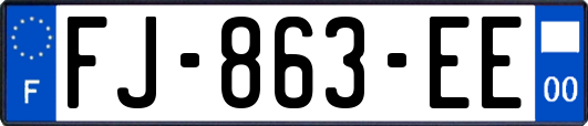 FJ-863-EE